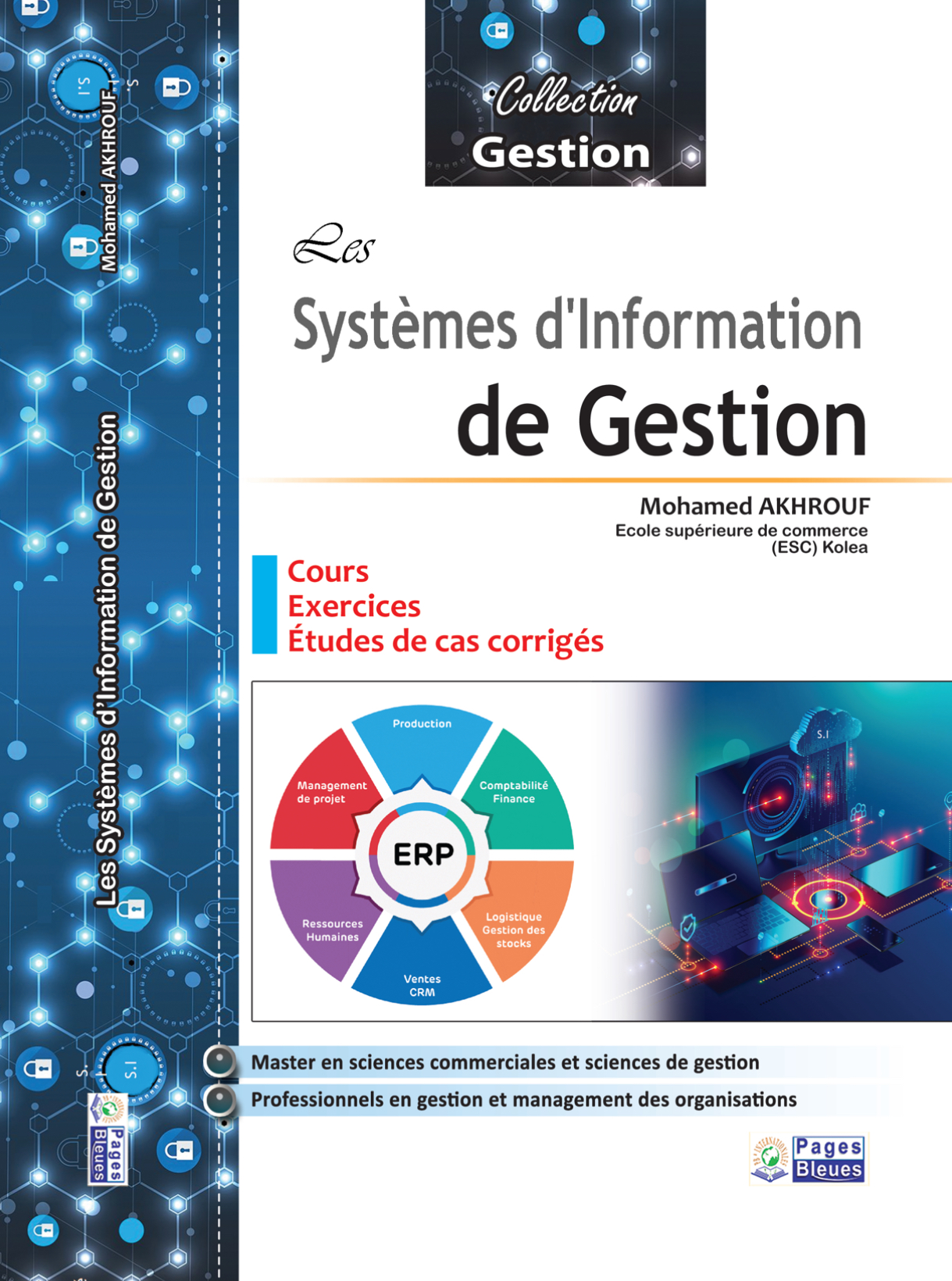 Les Systèmes d’Information de Gestion